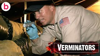 Verminators: Series 1 Episode 1 | FULL EPISODE