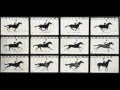 Eadweard muybridge  chronophotographie