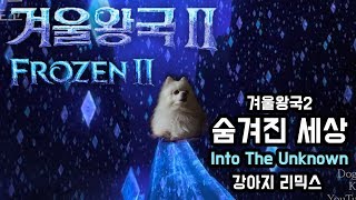 겨울왕국2 Into The Unknown ( 숨겨진 세상 ) 커버 강아지 리믹스 (Frozen 2 OST dog cover) chords