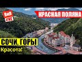 Сочи | Красная Поляна, Роза Хутор, каштановые лесе, горнолыжный курорт, инфраструктура, влог, 2019