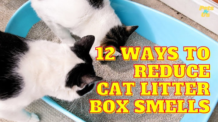 Best way to control cat litter odor