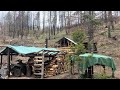 Building chicken coop and kitchen 1 week preparing for little alaska winter