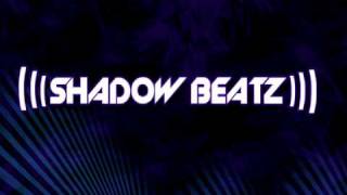 Video thumbnail of "ShadowBeatz - Just One Night - Rave Song"