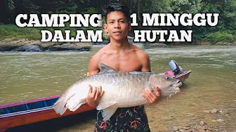 Camping Fishing 1 Minggu Hujan Deras Bermalam Di Pinggir Sungai kanyau Mencari Ikan Masak Dan Makan