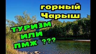 АЛТАЙ // ЧАРЫШСКИЙ РАЙОН // ИДЕАЛЬНОЕ МЕСТО ДЛЯ ПЕРЕЕЗДА?