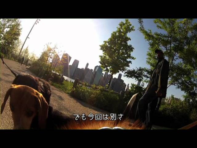 アウル シティー シューティング スター 日本語対訳ビデオ Youtube アウル シティー シューティング スター 日本語対訳ビデオ Youtube