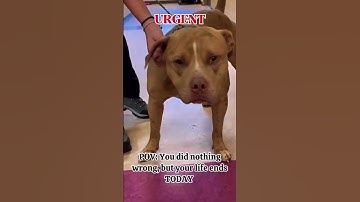 #GoFundMe #DonateToday #HelpUs #Support #Charity #Fundraiser #HelpNeeded #Donation #GiveBack