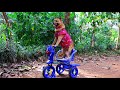        tricycle riding puppy the dog