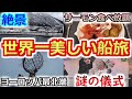 【食事は3食サーモン】ノルウェーを縦断する世界一美しい船旅に密着！【フッティルーテン】