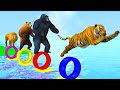 Jump over Ring with Gorilla,Lion,Tiger,Bear,Elephants Funny Wind Animals