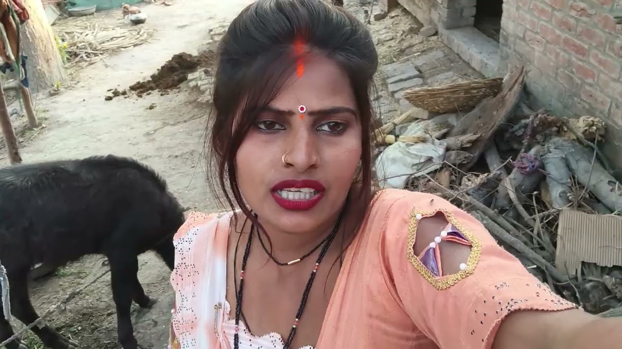 देखो दोस्तों आज हम क्या कर रहे हैं🙏🙏🙏❤