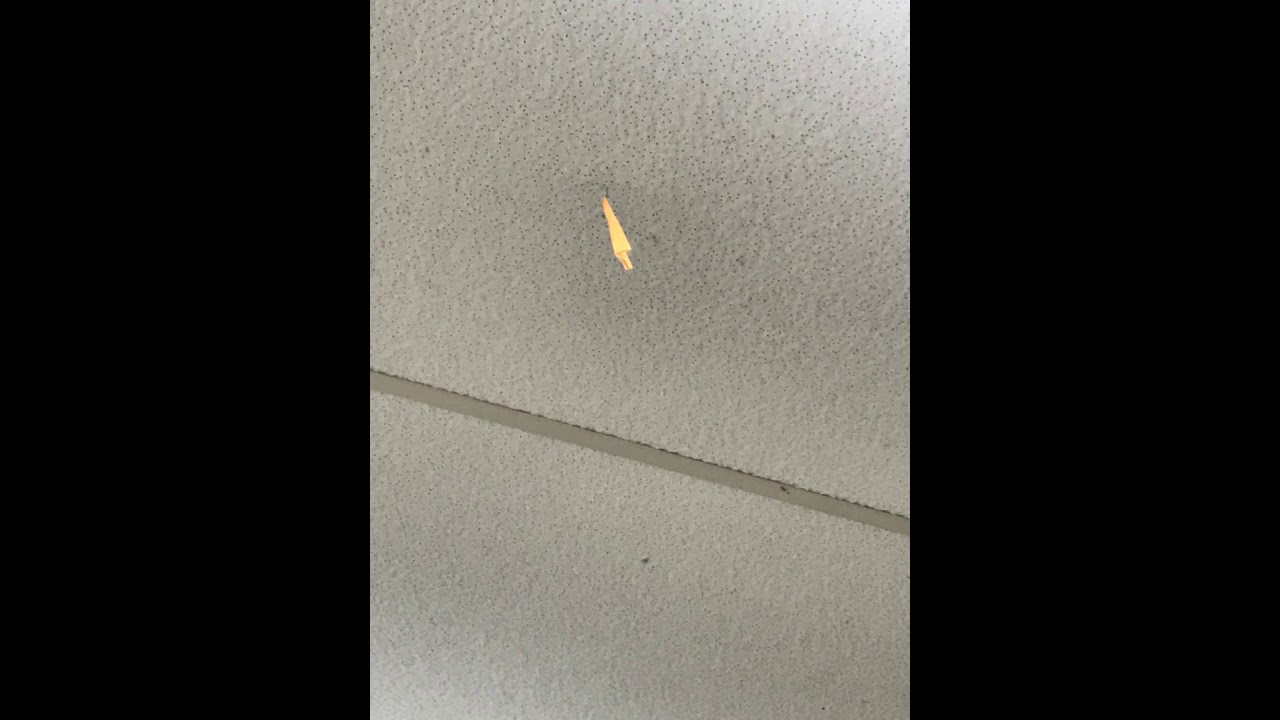 Post-it Note in Ceiling - YouTube