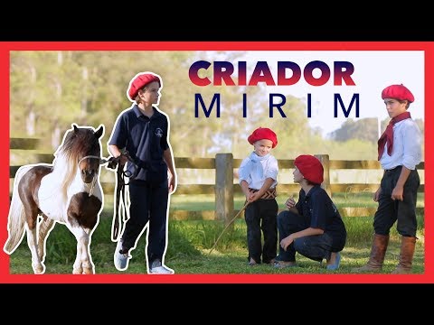 PEQUENOS E CHEIOS DE ATITUDE: O NEGÓCIO DOS PÔNEIS