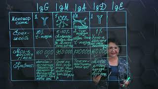 видео: Антиденелердің құрылысы мен құрылымы. Иммуноглобулин класстары. 2 бөлім. 11 сынып. картинка: Антиденелердің құрылысы мен құрылымы. Иммуноглобулин класстары. 2 бөлім. 11 сынып.