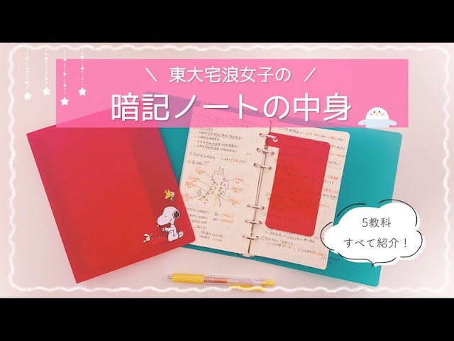 科目別】東大受験生の暗記ノートの中身￤宅浪時代のルーズリーフを