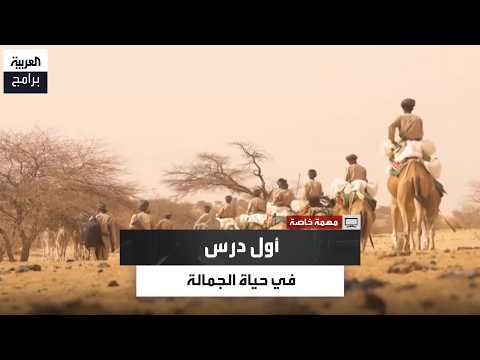 The First Journey and the First Fall: A Soldier's Story with the Camel Corps