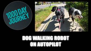 1000 Day Journey 0979 Feel Like A Dog Walking Robot On Autopilot