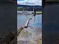 Boat rescue