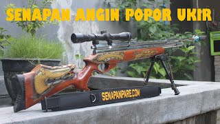 View Sharp Special Popor Ukir 3D Naga Senapan Pare
