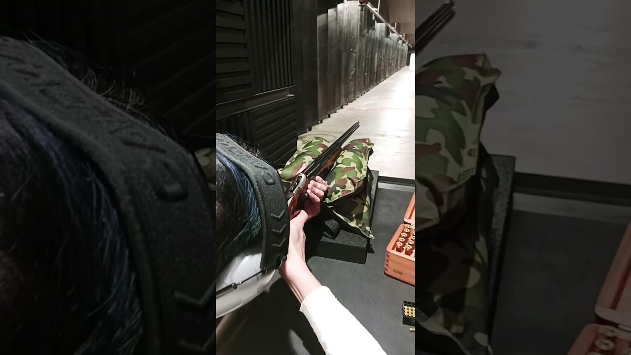 Stevens Savage 22/410 