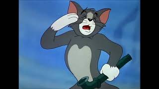 Tom And Jerry - The Cat And The Mermouse