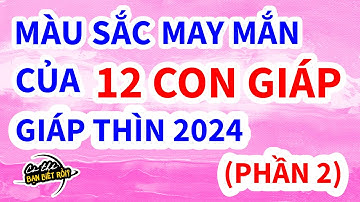 Màu sắc may mắn của 12 con giáp năm 2024 | Phần 2 | Có thể bạn biết rồi?