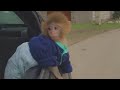 cute baby monkey