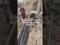 Powerful Heavy Duty Wood Chipper | Turn Waste Wood into Valuable Wood Chips