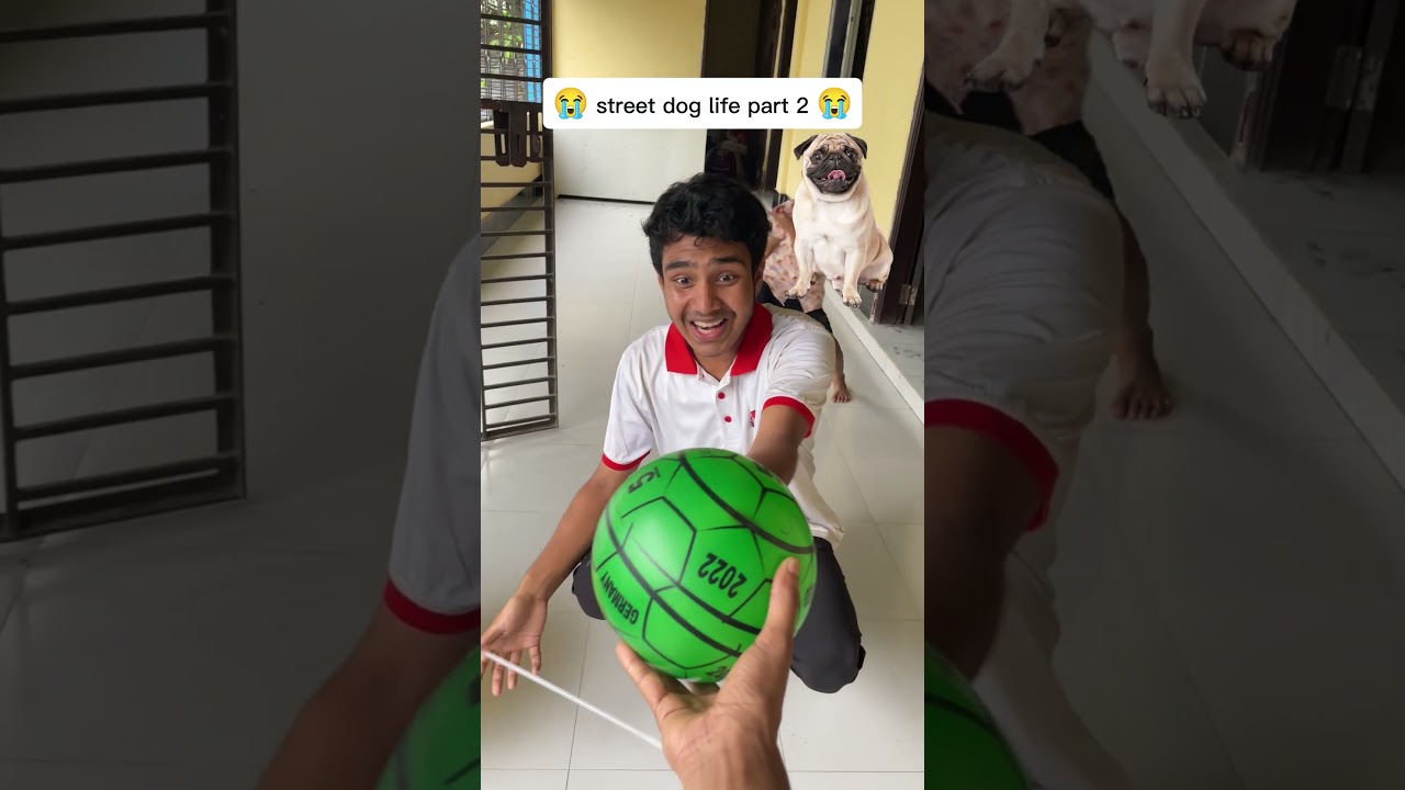 কুকুরদের সাথে এরকম করা উচিত না 😭 #mrcoosh