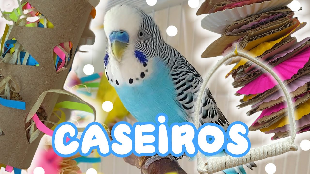 BRINQUEDOS CASEIROS PARA PÁSSAROS 4# - Periquitos Australianos | Batatube