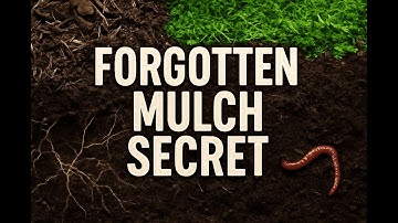 They Lied About Mulch — The Forgotten Layer That Feeds Soil Faster Than Compost!