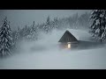 SNOW BLIZZARD SOUNDS FOR SLEEP ❄️ HOWLING WINTER WIND AMBIENCE