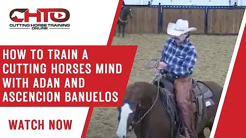 How To Train A Cutting Horses Mind with Adan and A...