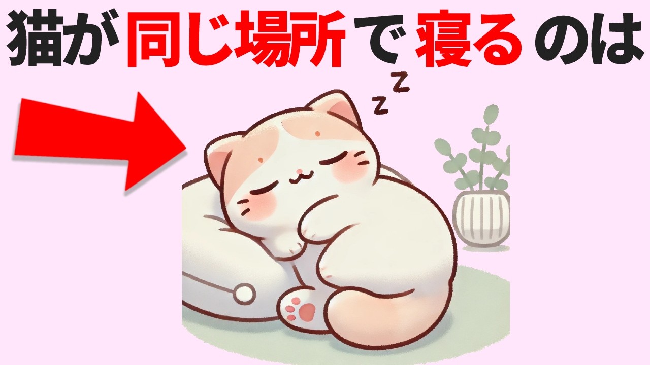 Don't miss this if you're a cat lover! [50 Cat Trivia] Know it and