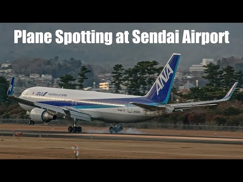 ????LIVE | 仙台空港 飛行機離着陸 ライブカメラ Plane Spotting at Sendai Airport (Japan - RJSS)