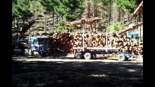 Taylor Self Loaders