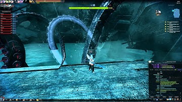 Vindictus EU - Kraken Raid Slowmo