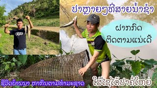 ຫາກິນຕາມສາຍນ້ຳຊຳ (ຊີວິດແບບພື້ນບ້ານ) ພໍຢູ່ ພໍກິນ Hunt big fish at Namxam River, Huaphan, Laos
