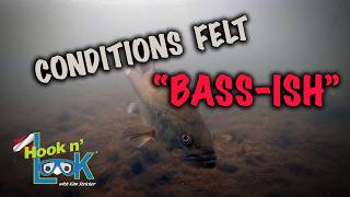 Conditions felt kinda "Bass-ish."