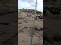 Новый приют!!!