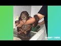 Animals are awesome compilation awsome cool videos | funny think