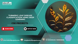 Noval-Turmeric Leaf Disease Classification Using Deep Learning