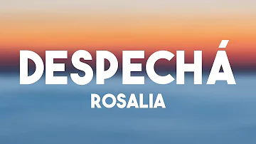 DESPECHÁ - Rosalia (Lyrics) 💸