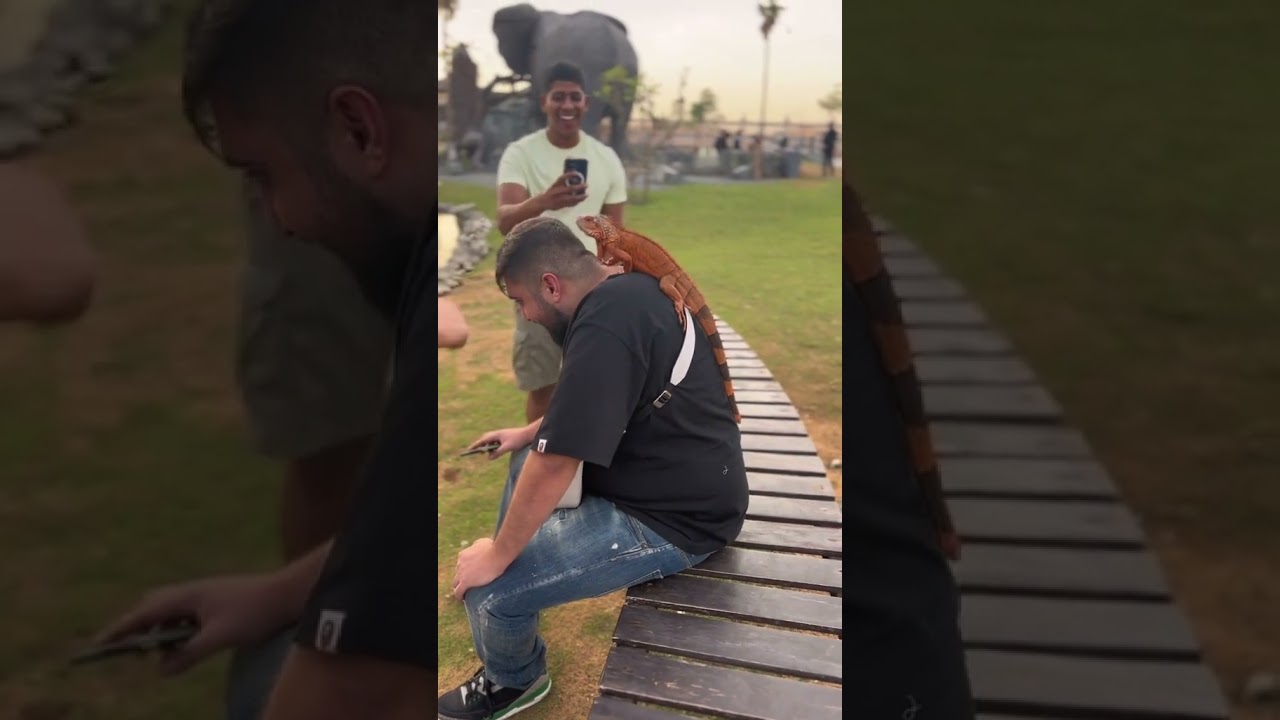 Extraordinary Wildlife Living with Humans: Heartwarming Stories of Coexistence, Conservation