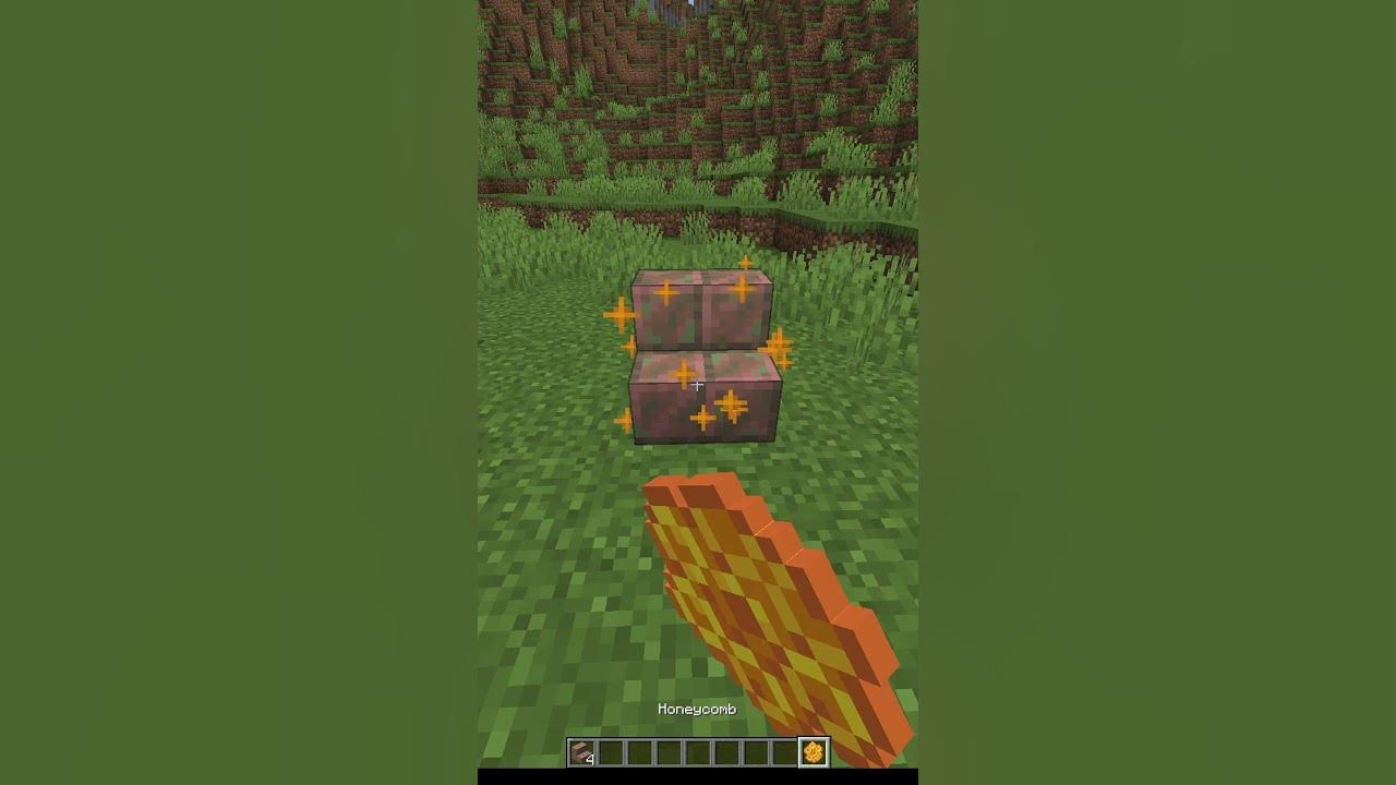 The longest minecraft block name shorts youtube