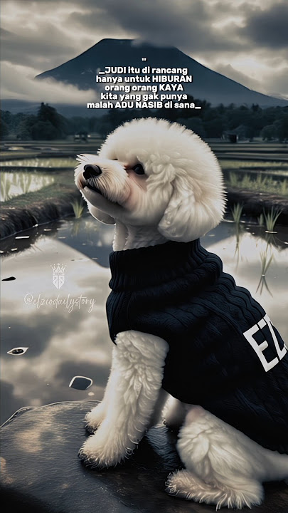 Kita malah adu nasib di sana #storywa #storyharian #elziostory #quotes #shorts