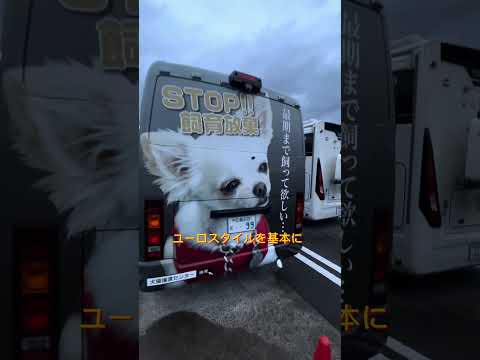 中古バスビフォーアフター #キャンピングカー #日本一周 #みなしご救援隊犬猫譲渡センター