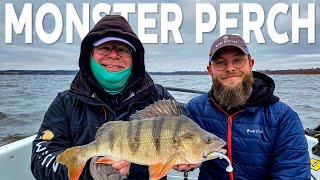 Fishing For Big Perch With Soft Lures | Westin Fishing