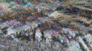 a mysterious orb in a field of beautiful orchid flowers, matte painting trending on artstation