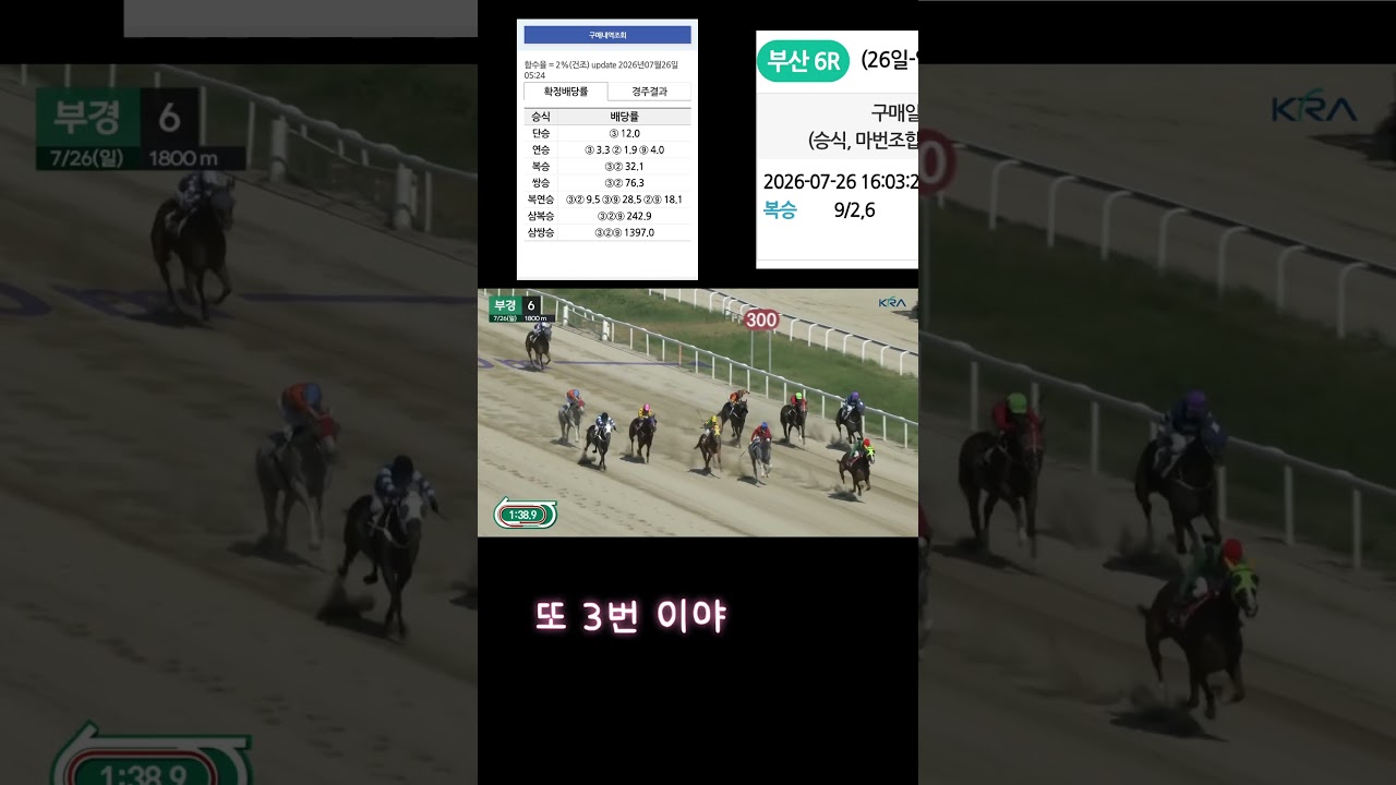 또3번 때문에 2번죽었네고배당